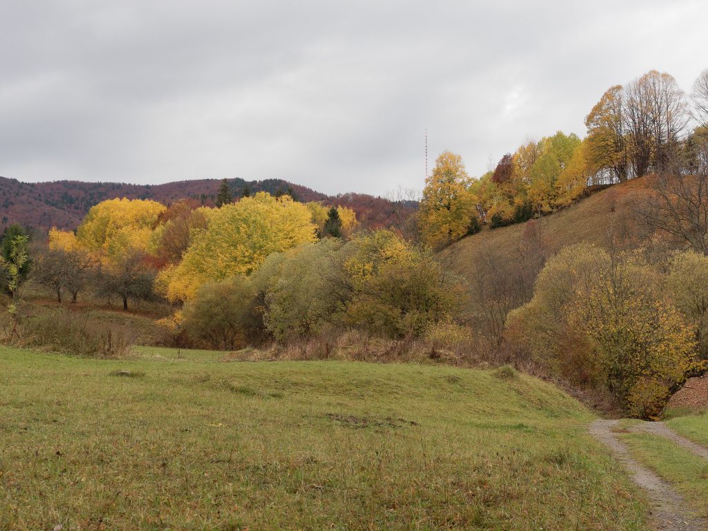 Farebná krajina