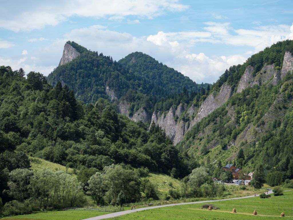 Pohľad od Lesnice