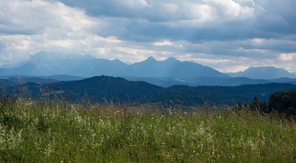 Pohľad od Lesnického sedla