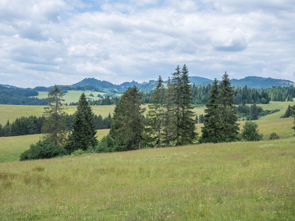 Pohľad od stúpania k čertovej skale