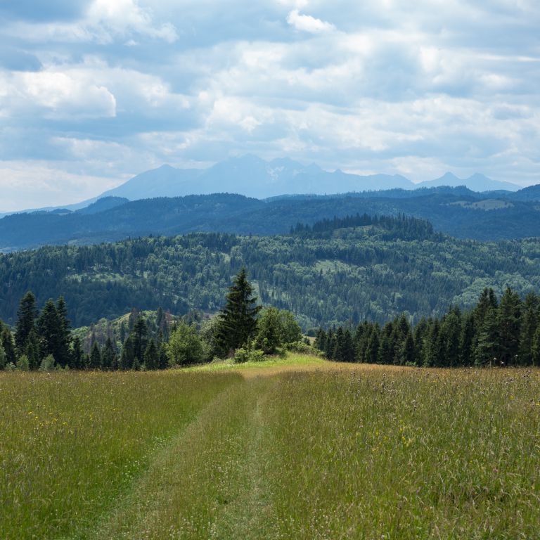 Pohľad od stúpania k čertovej skale